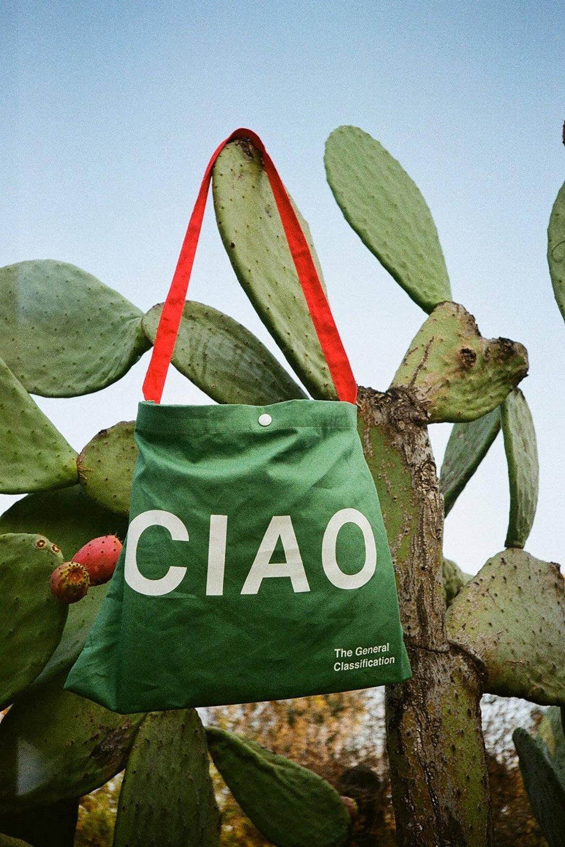 Ciao Musette