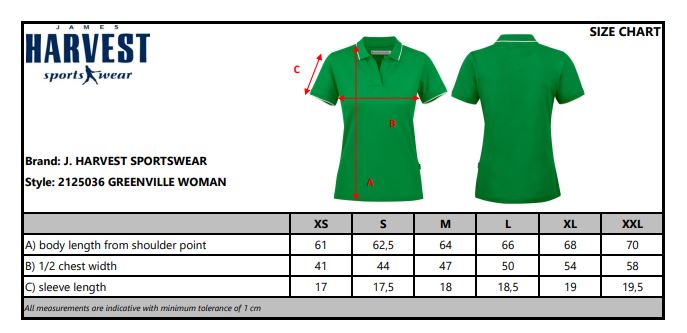 James Harvest Greenville Ladies Polo Shirt | Soft Cotton | With Stretch | 6 Colours | XS-2XL - Polo Shirt - Logo Free Clothing